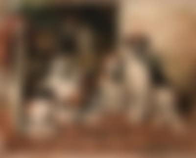 Hours of idleness - foxhounds and terrier in kennel (preview)