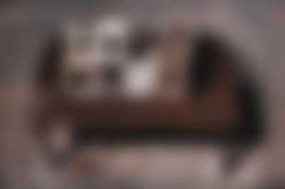 Osos hormigueros (preview)