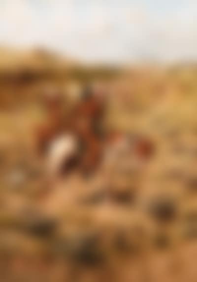 War party (preview)
