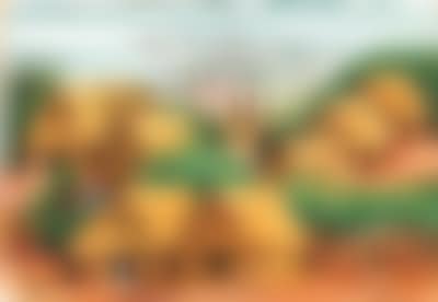 Village (preview)