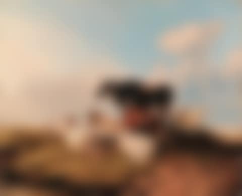 Landscape rural scene with two cows and five sheep (preview)