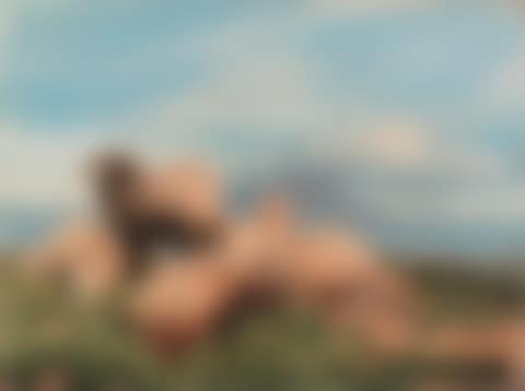 Landscape with sheep (preview)