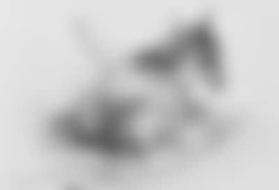 Donkey resting in barn (preview)