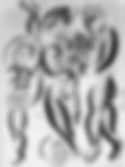 Three acrobats (preview)