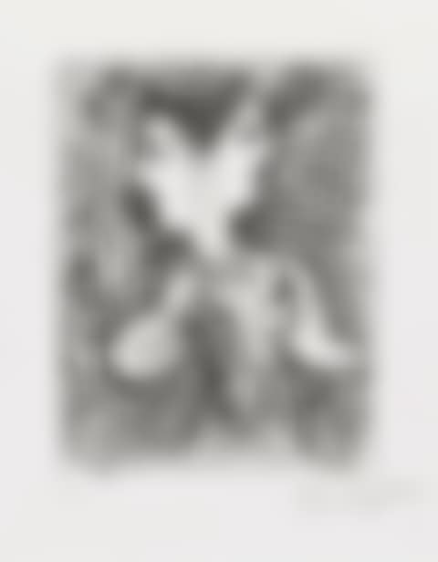 Double face (preview)