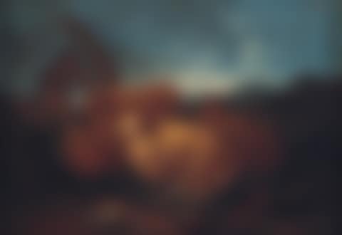 Shepherd and sheep in landscape. Goats in landscape (preview)
