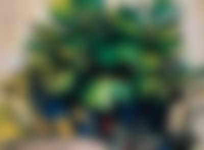 Palm tree (preview)