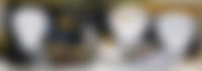 Ciotole e barratoli (preview)