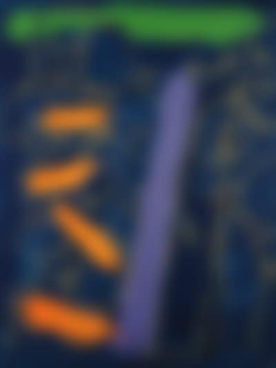 Untitled (preview)