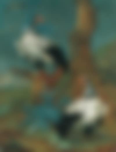 Two vultures by tree in extensive landscape (preview)