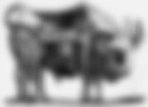Le taureau (preview)