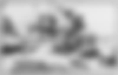 Wooded landscape. Study of man standing in robe (preview)