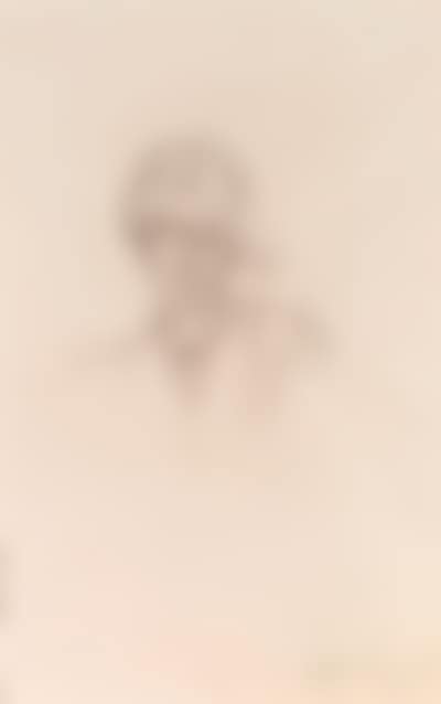 Buste (preview)