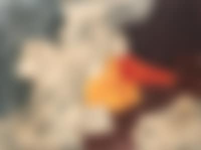 Composition (preview)