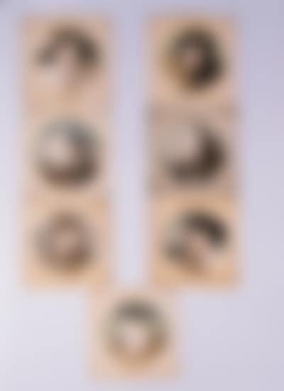 Scenes with a monk (preview)