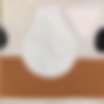 Nile (preview)