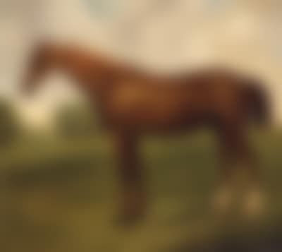Chestnut racehorse in extensive landscape (preview)