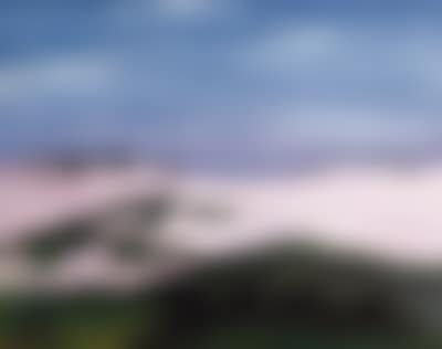 Dune landscape (preview)