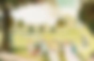 Picnic in the park (preview)