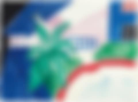 House Palm and Pool (preview)