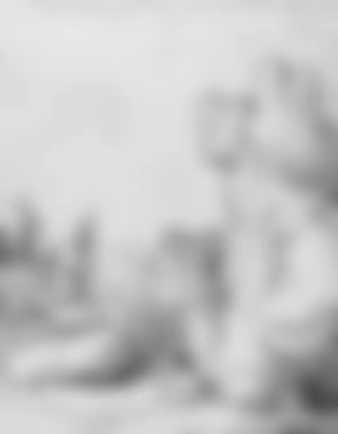 Rocky outcrops in valley with trees (preview)