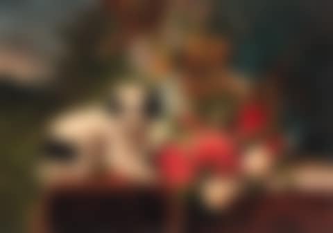 Terrier on table with camelias and other flowers (preview)