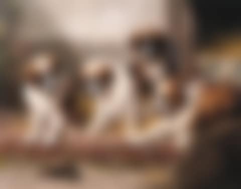 A fascinating encounter (preview)