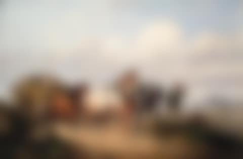 Horses pulling a hay wagon in a landscape (preview)