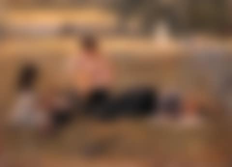 The picnic, Bois du Boulogne, Paris (preview)