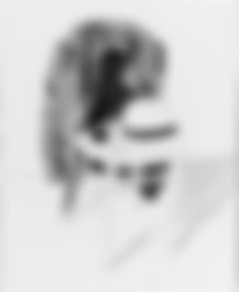 Panama hat (preview)