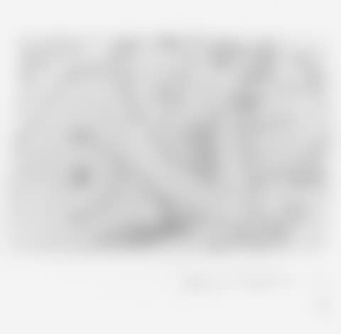 Torse de femme aux cheveux longs (preview)