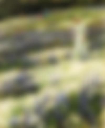 Ladies on a hill (preview)