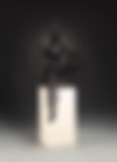 Seated circus lady (preview)