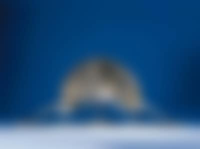 Head of a woman (preview)