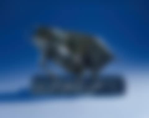 Wounded bull (preview)