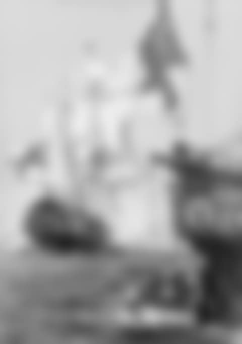 Salute (preview)
