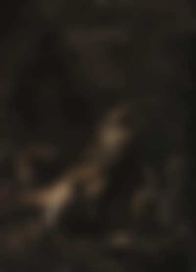 Capuchin friar tending companion's foot by fire (preview)