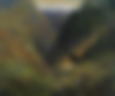 Black game, Invernesshire (preview)