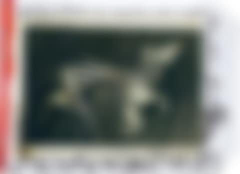 Lion Kill, Ol Loitokitok, Tanganyika, June (preview)