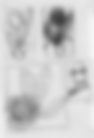 Three flowers and head (preview)