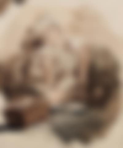 Study of young lady sleeping. Study of young woman wearing hat (preview)