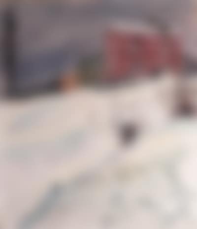 The pink house (preview)