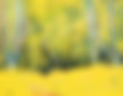 July, Epping Forest (preview)