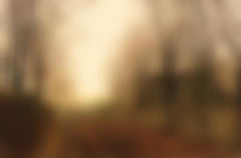 November morning (preview)