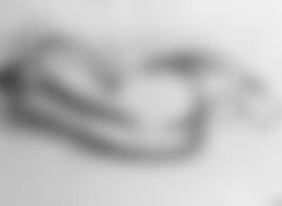 Reclining nude seen from back (preview)