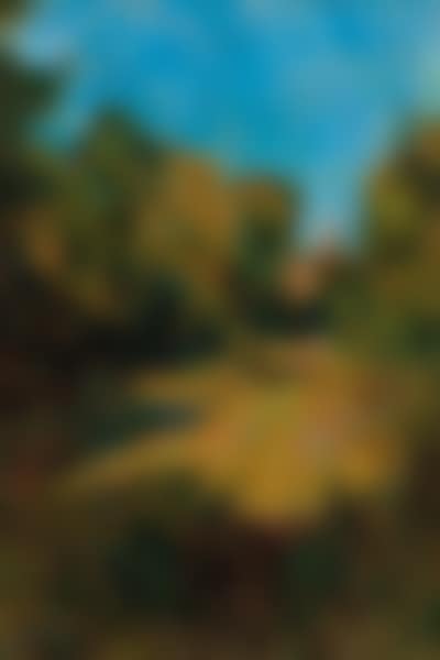 Sunlit meadow. Wooded landscape (preview)