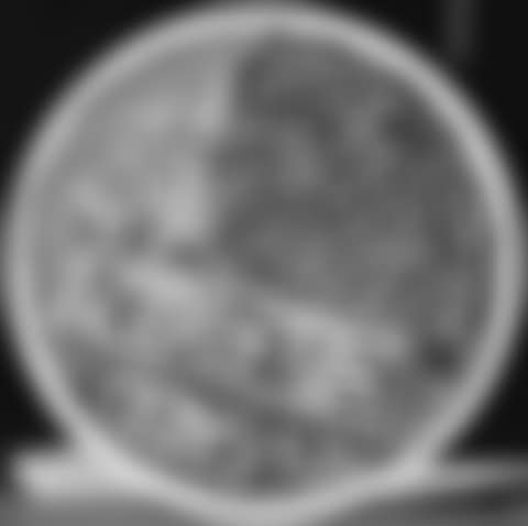 Swan engraving circle I, state II (preview)