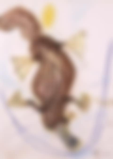 Platypus (preview)