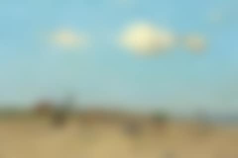 Sunny day at the beach, Katwijk aan zee (preview)