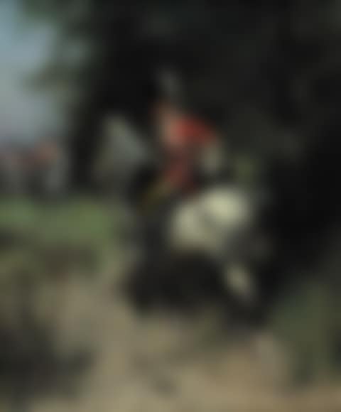 Scout of the Scots Greys reporting (preview)